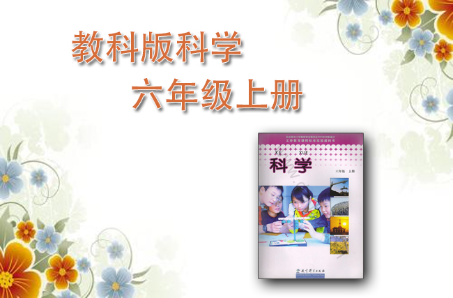 教科版科学六年级上册