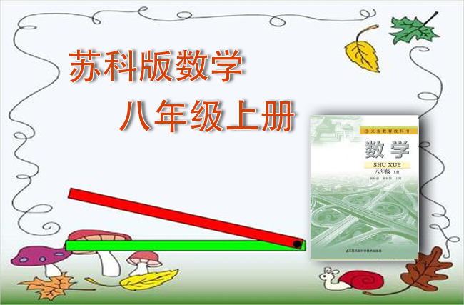 苏教版数学八年级上册