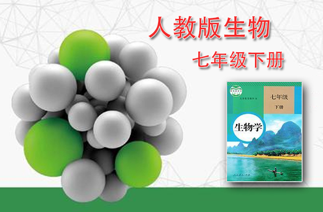 人教版生物七年级下册