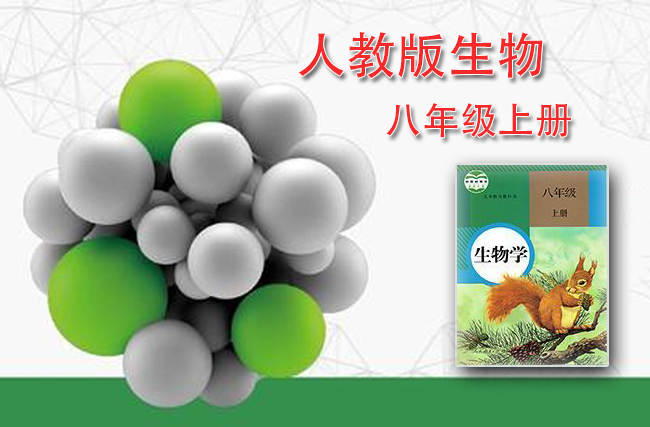 人教版生物八年级上册